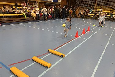 Obrázek č.20