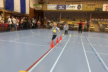 Obrázek č.31