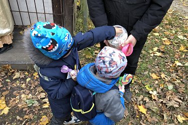 Obrázek č.83