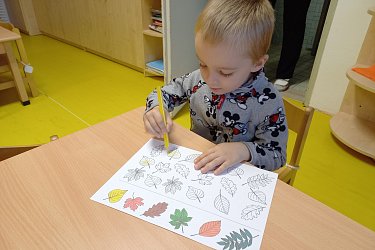 Obrázek č.60