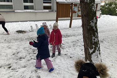Obrázek č.24