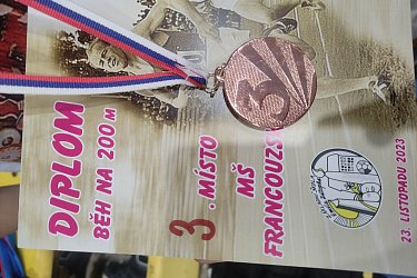 Obrázek č.13