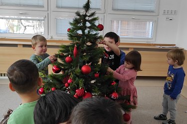 Obrázek č.5