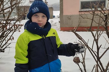 Obrázek č.20