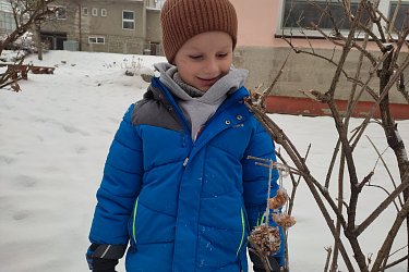Obrázek č.21