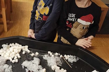 Obrázek č.16