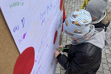 Obrázek č.13