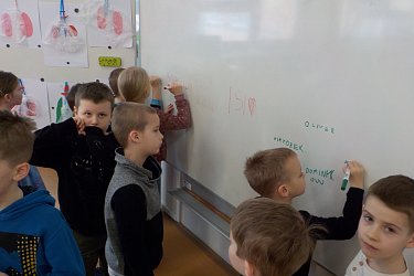 Obrázek č.8