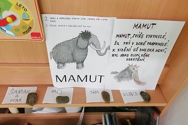 Obrázek č.8
