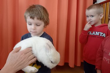 Obrázek č.3