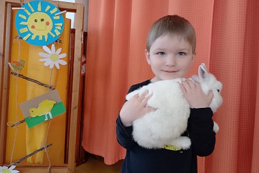 Obrázek č.17