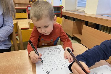 Obrázek č.44