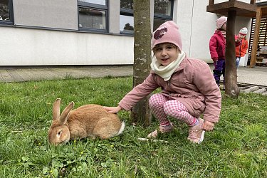 Obrázek č.15