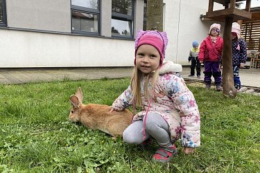 Obrázek č.16