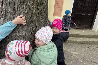 Obrázek č.12