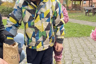 Obrázek č.113