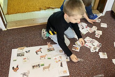 Obrázek č.5