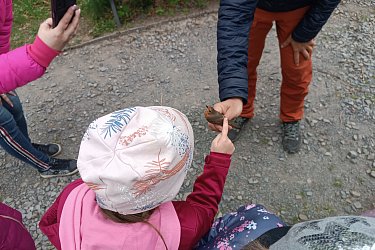 Obrázek č.76