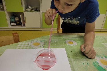 Obrázek č.23