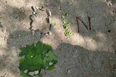 Obrázek č.18