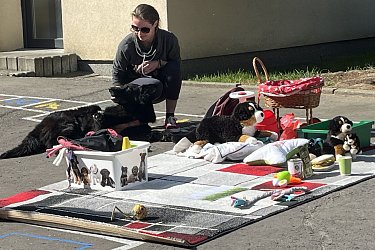 Obrázek č.27