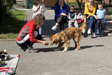 Obrázek č.16