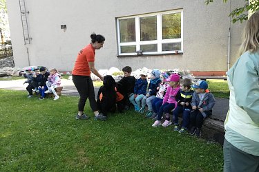 Obrázek č.43
