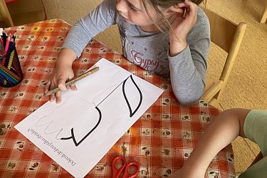Obrázek č.12