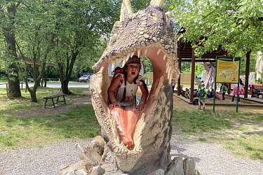 Obrázek č.106