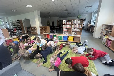 Obrázek č.60