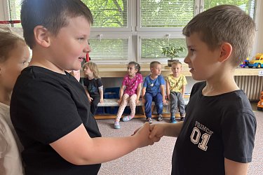 Obrázek č.50