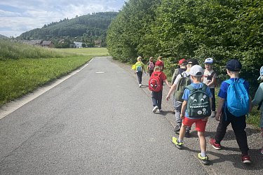 Obrázek č.29