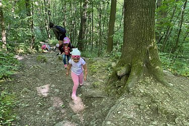Obrázek č.15
