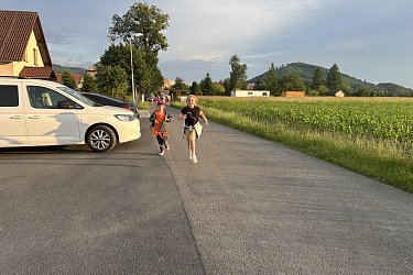 Obrázek č.66