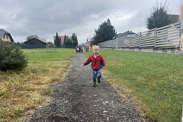 Obrázek č.137