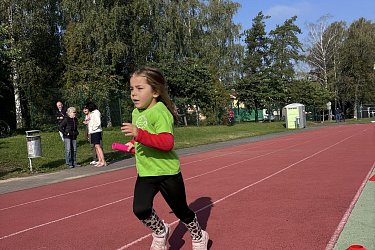Obrázek č.15