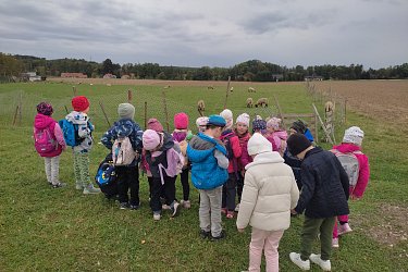 Obrázek č.14
