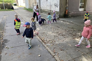 Obrázek č.50