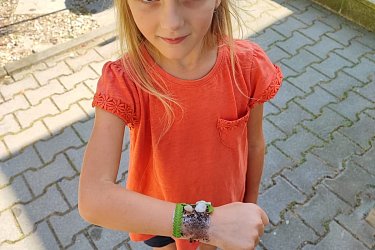 Obrázek č.94