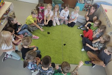 Obrázek č.110