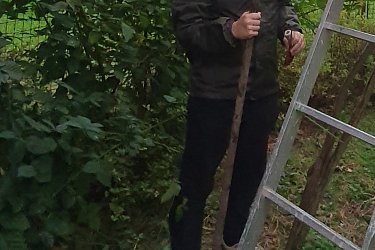 Obrázek č.39