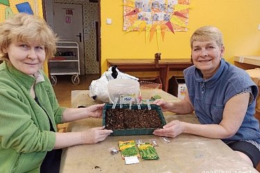 Pěstování Microgreens po uzavření MŠ – Výzva pro děti a rodiče
