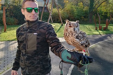 Obrázek č.40
