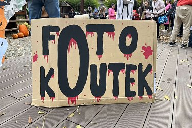 Obrázek č.12