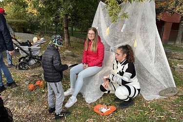 Obrázek č.70