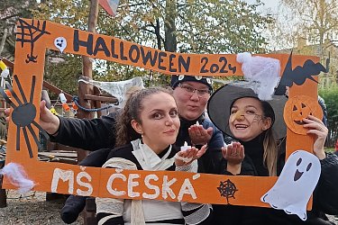 Obrázek č.121