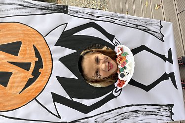 Obrázek č.145