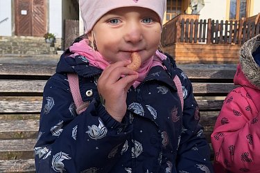 Obrázek č.120