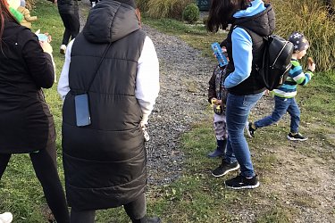 Obrázek č.22