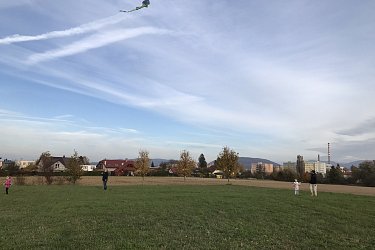 Obrázek č.16